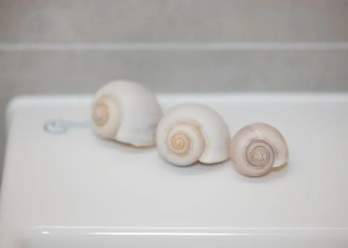 Pinea617 Seaview * Pobierowo