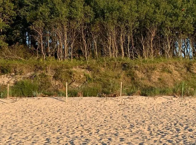 Apartamento Pinea617 Seaview